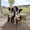 Sam Pollard - @sam.pollard49 - TikTok