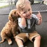 Sammy Power - @ollyandsammydood - Instagram