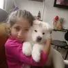 Sammy_Prieto - @sammy_prieto - TikTok