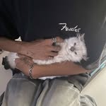 Sammy - @sammypromjo - Instagram