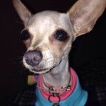 Sammy Quesada Parra - @sammita4 - Instagram