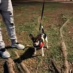 Sammy Quintero - @quintero.sammy - Instagram