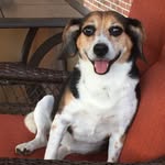 Sammy Hodel Randall - @sammyh312 - Instagram