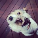 Sammy R - @sammy_randall - Instagram