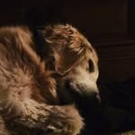 Sammy Redmond - @redmondsammy - Instagram