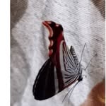 Sammy Ruiz Gonzales - @sammyruizgonzales - Instagram