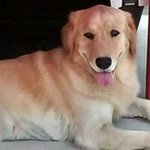 Sammy Salinas - @salinas.sammy - Instagram