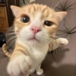 Sammy Sanchez - @sammyta_b3 - Instagram