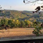 Sammy Shaffer - @lyco_penn_nature - Instagram