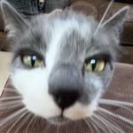 Sammy - @sammy_sharp_ - Instagram
