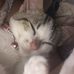 Sammy Stevens - Facebook