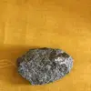 Sammy - @sammythestone1235 - TikTok