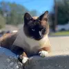 SammyStone - @thesammystone - TikTok