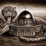 Sammy Sultan - @sammy.sultan.7712 - Instagram