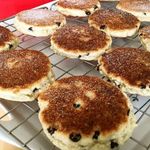 Sammy Sutton - @sammyswelshcakes - Instagram