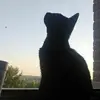 sammytanner6 - @sammytanner6 - TikTok