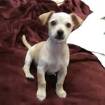 sammy tate - @sammytate1 - Instagram