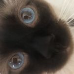 Sammy - @testasammy - Instagram
