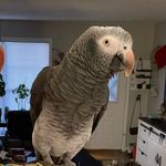 Sammy Bird - @trail_bird_sammy - Instagram