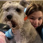 Sammy Vincent Van Gogh 🌸🍀💕 - @vincent_van_hoe_ - Instagram