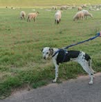 Sammy Weber - Facebook