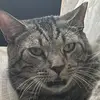 sammyweber - @sammyweber - TikTok
