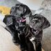 Sammy Webster - Facebook