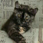 @sammy1973weeks - Instagram