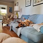 Sammy Weeks - @weekssammy - Instagram