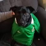 Sammy Weir - @sammy_weir - Instagram