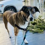 Sammy Rocco Whitehead - @sammyrocco2023 - Instagram