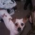 Sammy Wilder - Facebook