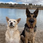 Sammie  & Wiley - @sammie.and.wiley - Instagram