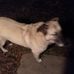Sammy Willard - Facebook