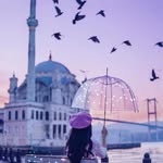 (⁠✷⁠Everything will be win💯❤️‿⁠✷⁠) - @samna_ali_77653 - Instagram