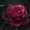 Samna Ali - @samnaali14 - TikTok