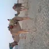 Samna Ali - @samnaali - TikTok