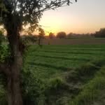 Samna_Ali - @sam_awan21 - Instagram