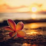 Samnang Chea - @samnang825 - Instagram
