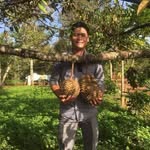 Samnang Eng - @samnang.leng - Instagram