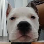 Runnit Up Mo - @samonabrown56 - Instagram