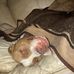 Sampson Moore - Facebook
