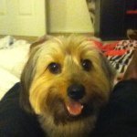 sampson_moore - @sampson_moore - Instagram