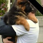 Samson Becker - Facebook