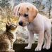 Samson Charles - Facebook