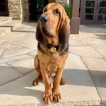 Samson Cooper - @_handsome_samson - Instagram