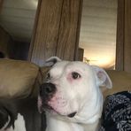 Samson Hess - Facebook