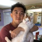 Samson Hui - @samhuihuihui - Instagram