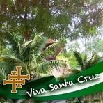 Samson Kim - Facebook