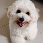 @samsonkimmyy - Instagram